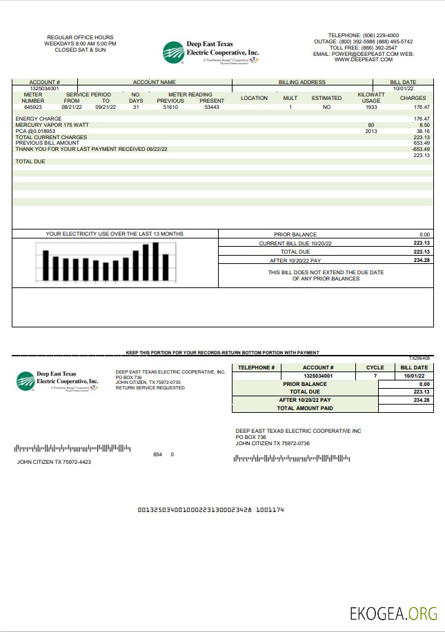 USA Deep East Texas Electric utility bill template in Word and PDF format